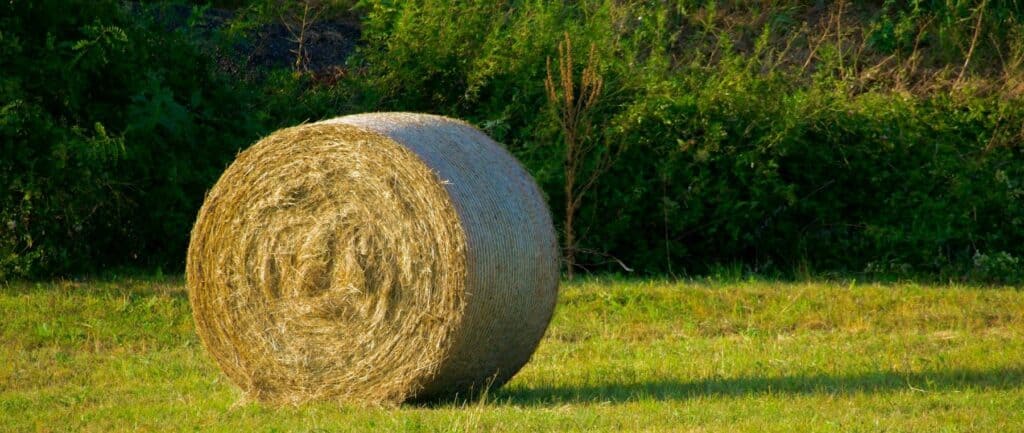 Bale image Bale image
