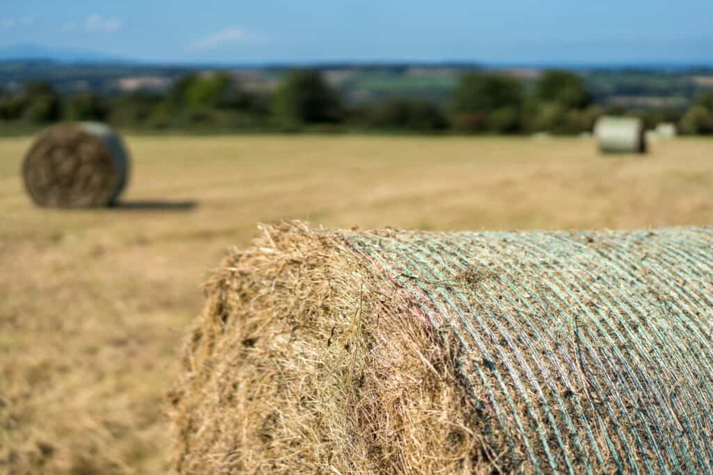 Bale Netting in South Africa Bale Netting in South Africa